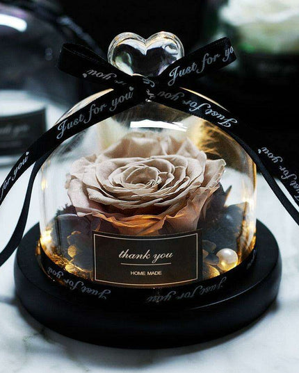 Eternal Radiance: Preserved Rose in Illuminated Glass Dome