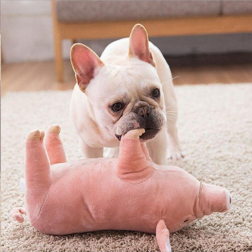 Pet Pig Plush Companion Toy for Dogs