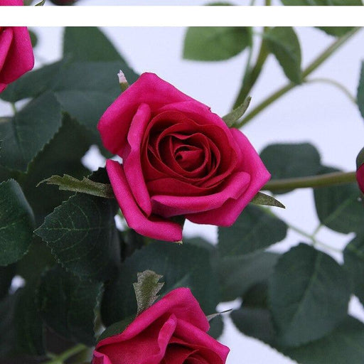 Real Touch 5 Heads Small Artificial Rose Flowers - 12pcs/lot-Home Décor›Plants & Flowers›Artificial Florals & Plants›Flowers-Très Elite-white rose-Très Elite