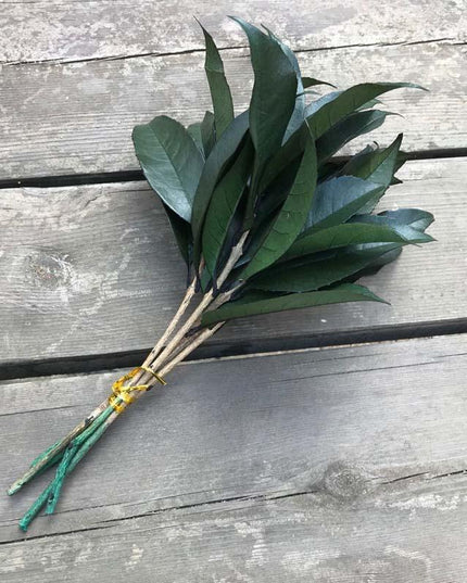 Timeless Osmanthus Leaf Collection - 5-Piece Preserved Set - Elegant Touch for Floral Creations