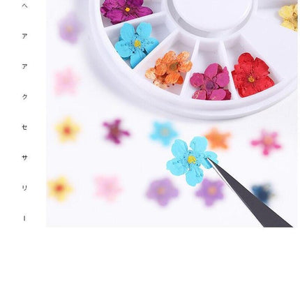 Floral Elegance Nail Art Kit: Create Stunning Designs with Real Dried Flowers