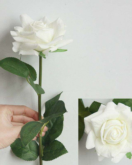 Elegant Silk Rose Collection - Set of 5, 12cm Decorative Blooms