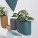 Elegant Scandinavian Ceramic Wall Planter Set for Modern Home Design