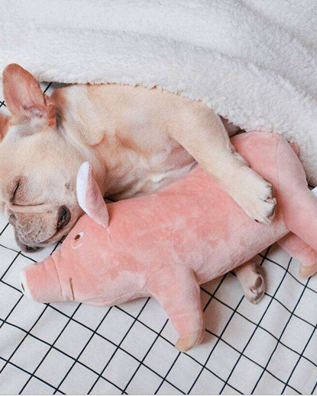 Snuggly Piggy Pal: Plush Comfort Toy