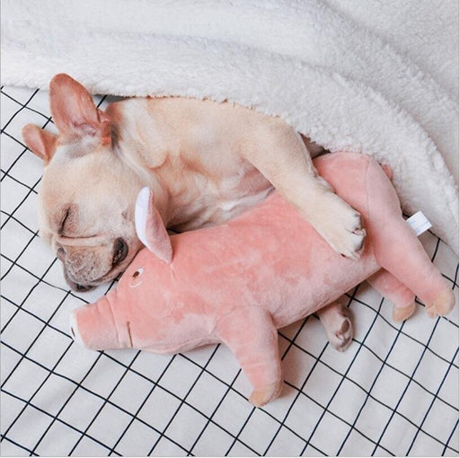 Cozy Companion: Soft Pig Plush Toy for Pets
