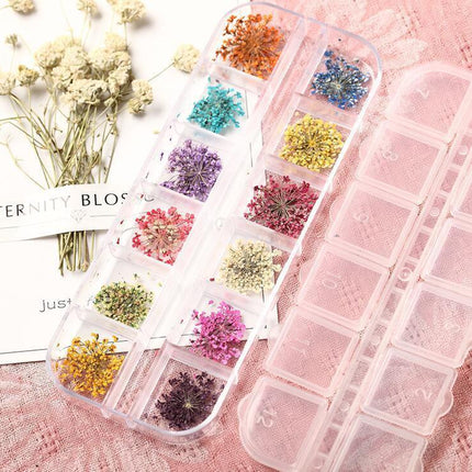 Botanical Elegance Nail Art Kit: Authentic Dried Flower Decoration Collection
