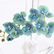 blue green orchid