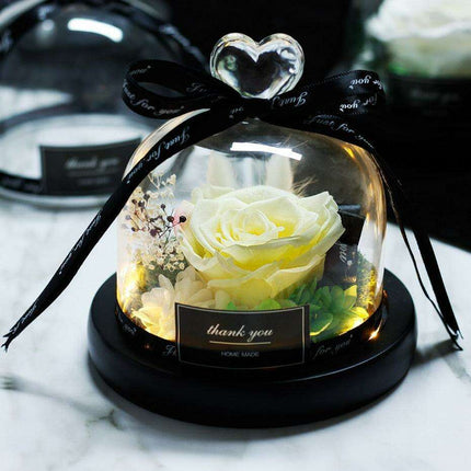 Eternal Radiance: Preserved Rose in Illuminated Glass Dome