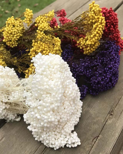 Timeless Treasures: Preserved Millet Flowers for Elegant Wedding Decor