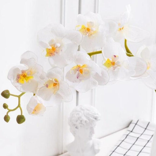 Pack of 10 pieces Real Touch 9 Heads Artificial Butterfly Orchids Felt Latex Flowers-Home Décor›Plants & Flowers›Artificial Florals & Plants›Flowers-Très Elite-white orchid-Très Elite