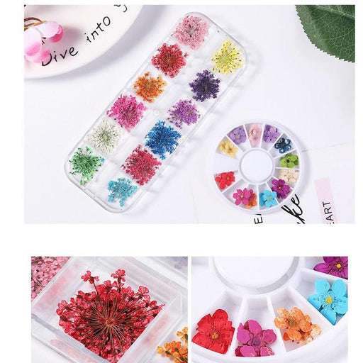 Summer Blossom Nail Art Kit: Create Stunning Nail Designs with Real Dried Flowers