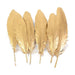 Luxurious Gold-Tipped Feather Assortment for Elegant Event Decor and Creative Projects