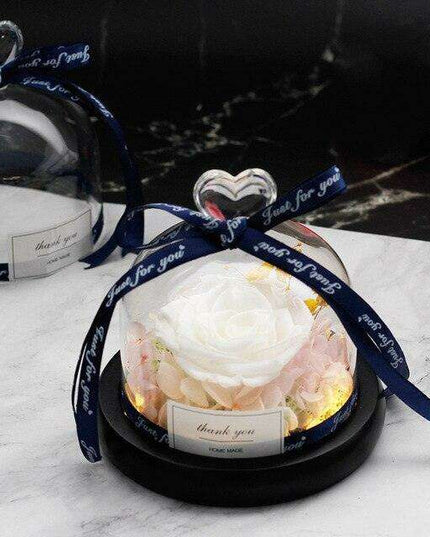 Captivating Glass Rose Lamp in Elegant Dome - A Cherished Emblem of Love