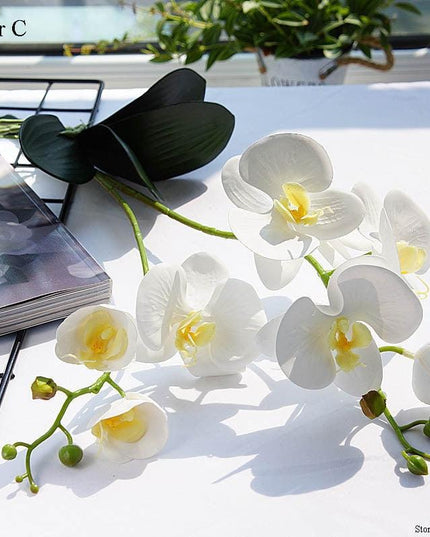 Elegant White Orchid Blooms for Upscale Home and Event Styling