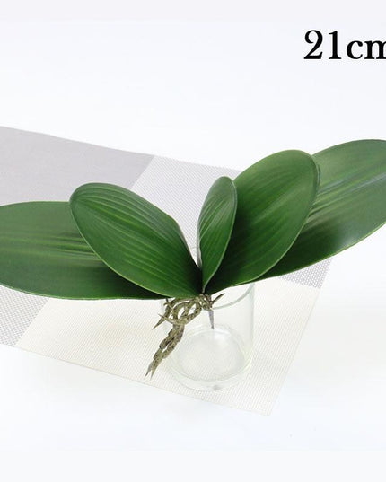 Realistic Orchid Leaf Replicas: High-Quality Latex for Elegant Floral Displays