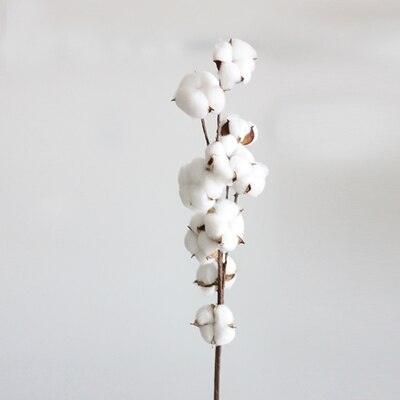 Charming Dried Cotton Flower Arrangement - A Touch of Nature for Home and Weddings