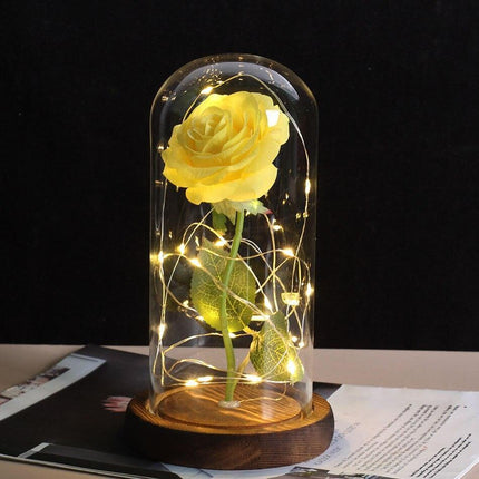 Eternal Rose LED Glass Dome for Enchanting Decor