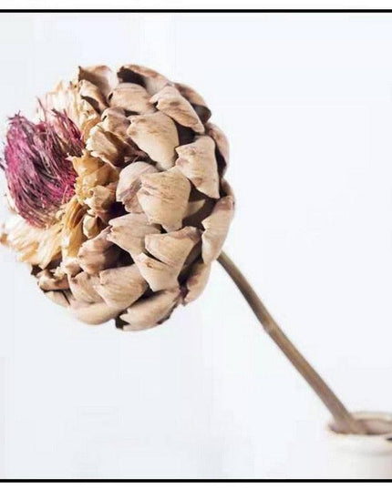 Exquisite Dried Protea Cynaroides Floral Arrangement for Elegant Home Styling
