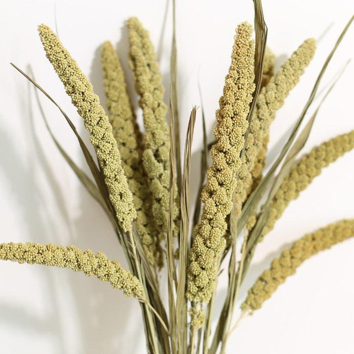 Natural Dried Flower Bouquet with Black Pampas Grass and Wheat Ear - Home Wedding Table Decoration