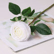 5Pcs White Roses