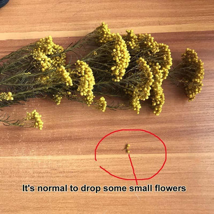 Timeless Treasures: Preserved Millet Flowers for Elegant Wedding Decor