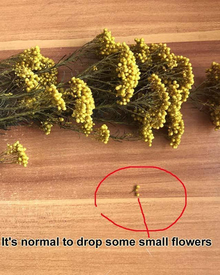 Timeless Treasures: Preserved Millet Flowers for Elegant Wedding Decor