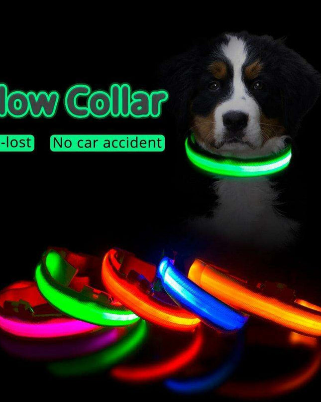 Illuminate & Protect: Rechargeable Waterproof LED Dog Collar for Enhanced Nighttime Safety