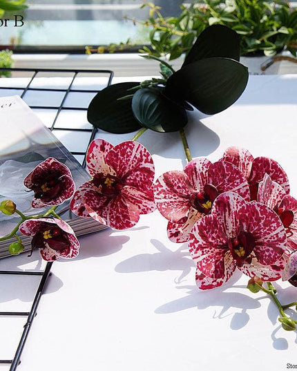 Elegant White Orchid Blooms for Upscale Home and Event Styling