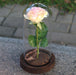 Preserved Red Pink Rose Glass Dome Centerpiece