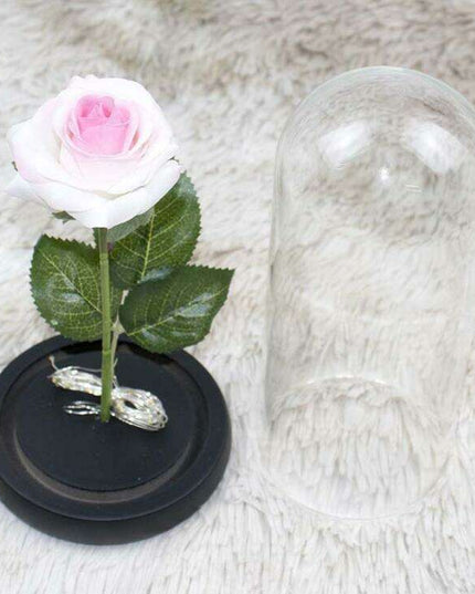 Timeless Elegance Red Pink Rose Glass Dome Display