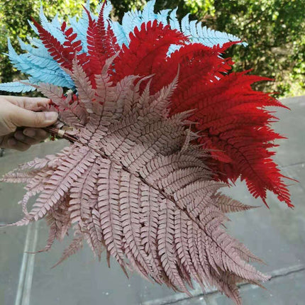 Eternal Green Fiddlehead Ferns Set - 10 Pieces (25x40cm)