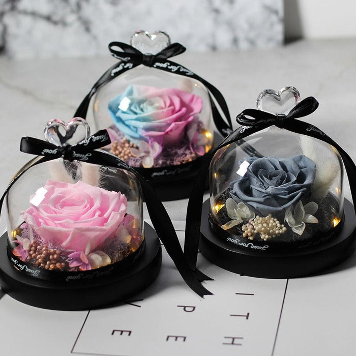 Eternal Elegance: Illuminated Glass Enchanted Rose
