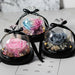 Eternal Elegance: Illuminated Glass Enchanted Rose