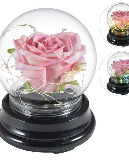 Eternal Glow Rose Dome - Illuminated Floral Beauty