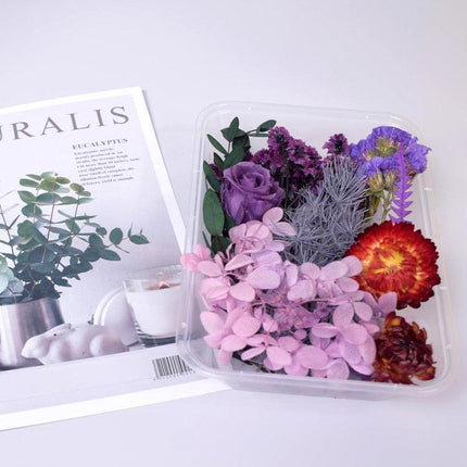 Eternal Floral Inspirations: Preserved Petals for Creative Expressions