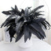 Elegant Black Persian Grass Silk Floral Arrangement Bouquet