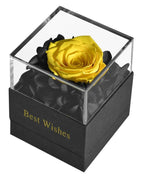 Design 1 Yellow Rose