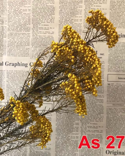 Timeless Treasures: Preserved Millet Flowers for Elegant Wedding Decor