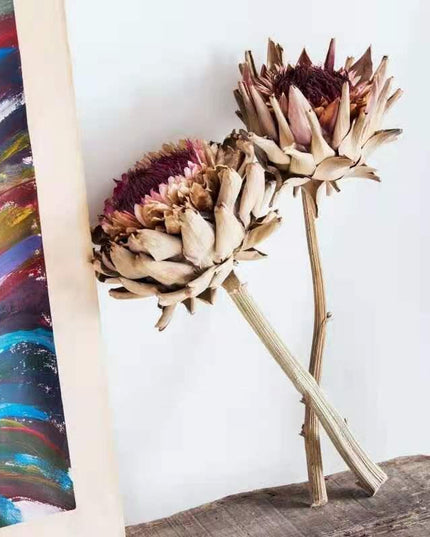 Exquisite Dried Protea Cynaroides Floral Arrangement for Elegant Home Styling
