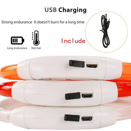 Illuminated USB Rechargeable Dog Collar for Optimal Night Safety and Visibility