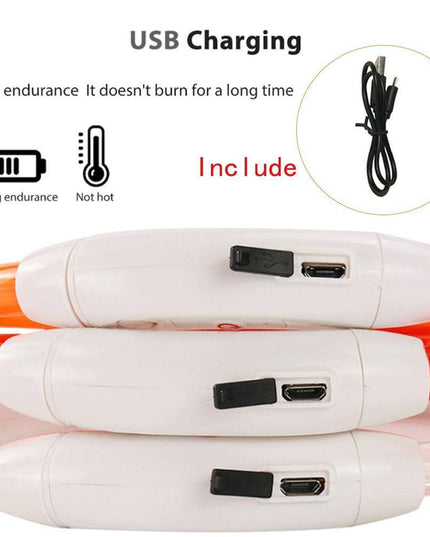 Illuminated USB Rechargeable Dog Collar for Optimal Night Safety and Visibility