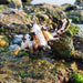 Mediterranean Natural Black Snail Shell Decor with Conch Accent for Micro-Landscapes