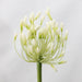 Silk Lotus Flower Décor Accent for Elegant Home Styling