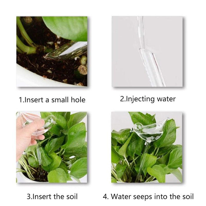 Automatic Transparent Indoor Plant and Flower Watering System with Unique Design
