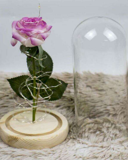 Timeless Elegance Red Pink Rose Glass Dome Display