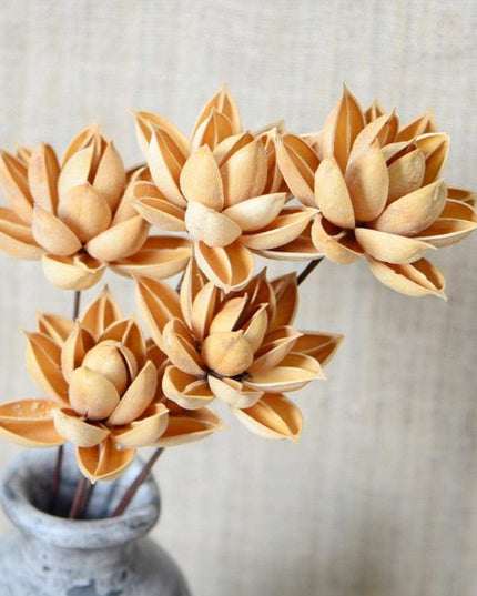 Luxurious Burgundy Dried Lotus Flower Head Set - 5 Exquisite Pieces for Home and Event Decor