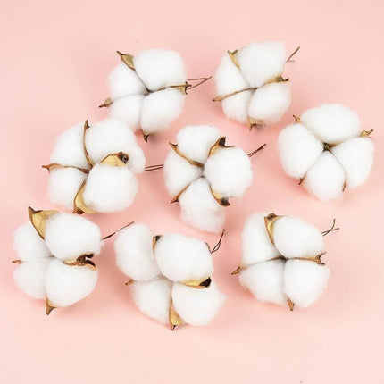 Charming White Cotton Dried Flower Bundle for Weddings and Home Styling