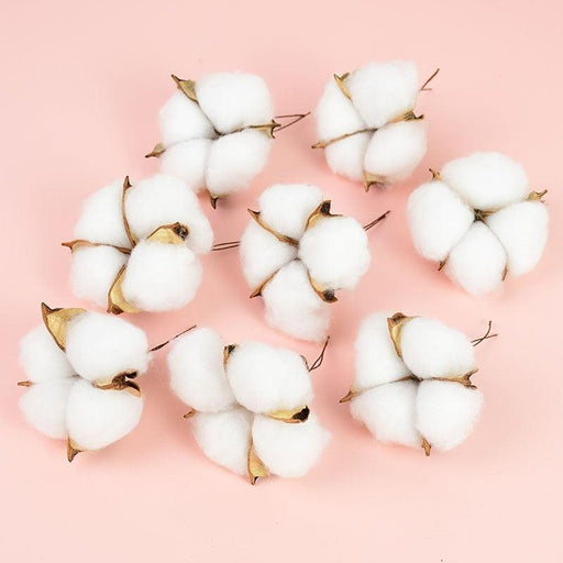 Elegant White Dried Flower Cotton Bundle Set - Versatile Wedding & Home Decor Kit