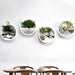 Circular Acrylic Hanging Wall Vase Planter Set for Succulents