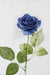 Lifelike Silk Latex Flower Bouquet - Pack of 10